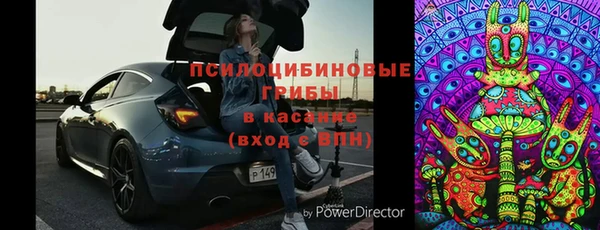 дмт Алзамай