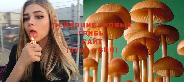 дмт Алзамай