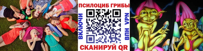 наркошоп  Балашов  Псилоцибиновые грибы ЛСД 