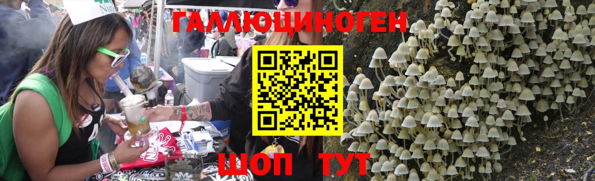 Псилоцибиновые грибы GOLDEN TEACHER Балашов